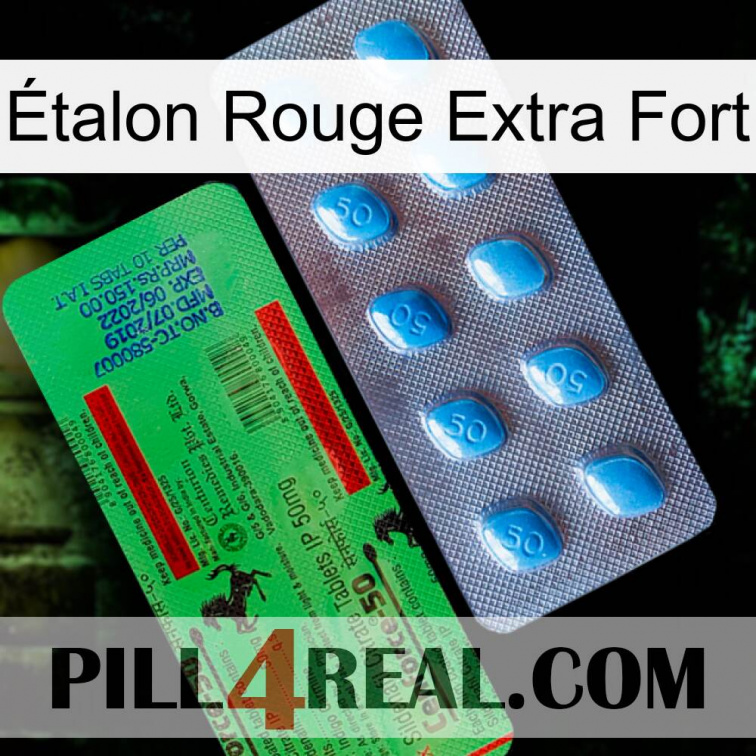 Étalon Rouge Extra Fort new03